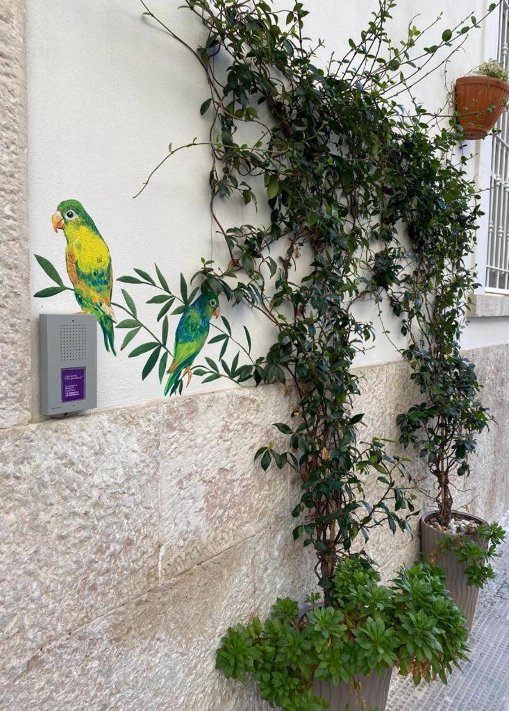 Iris Apartment Bisceglie Esterno foto